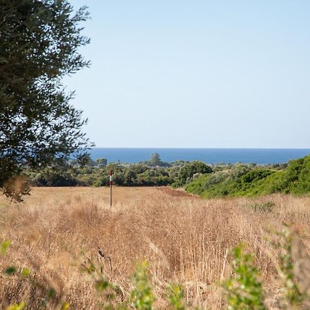 Masseria Scaledda Manduria Kültér fotó